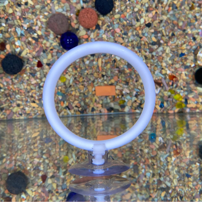 Gymnastic Ring - 1 قطعة حلقة تدريب اصطناعية بلاستيكية